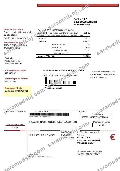 France Gaz de France Dolcevita business utility bill template in Word and PDF formats1